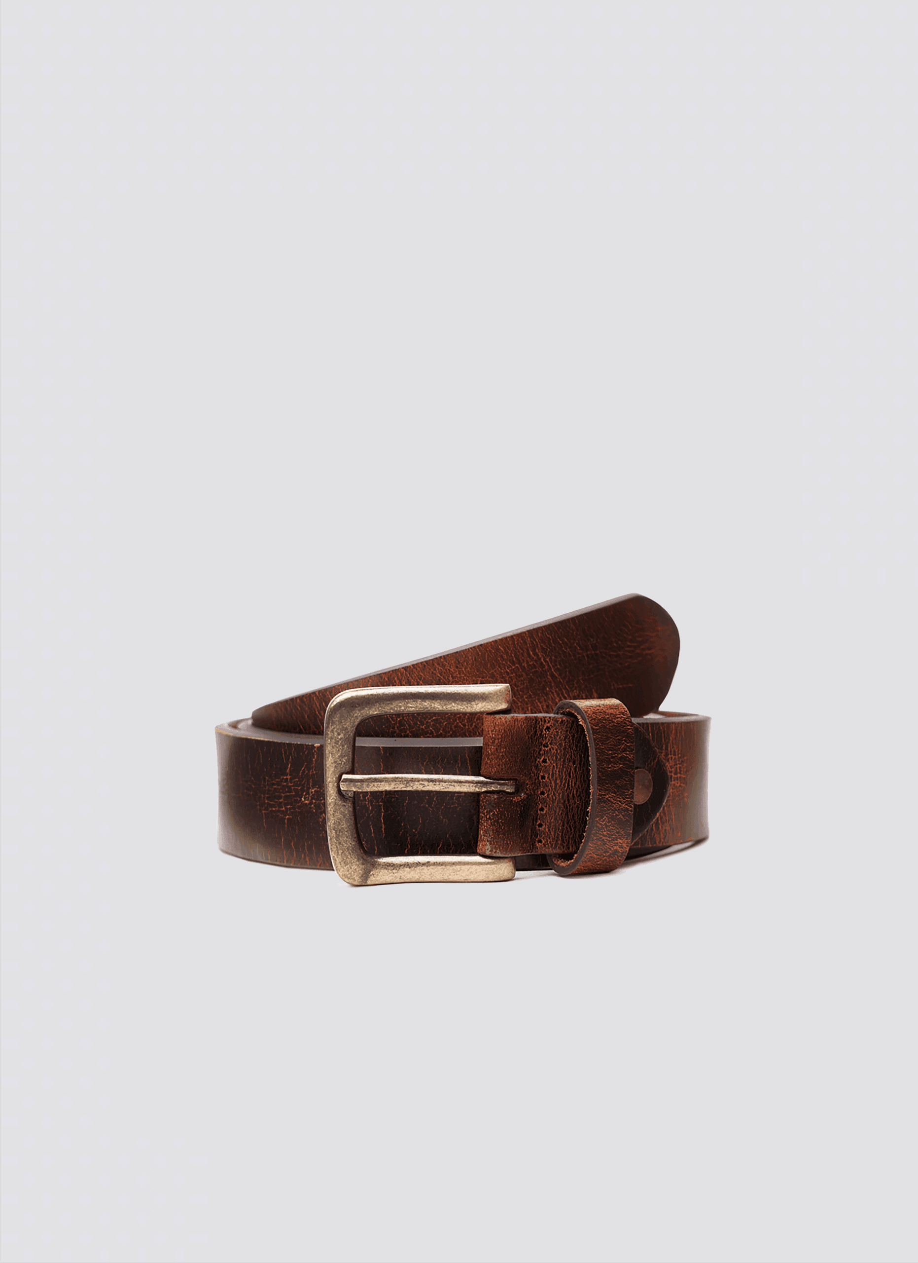 Joel Belt