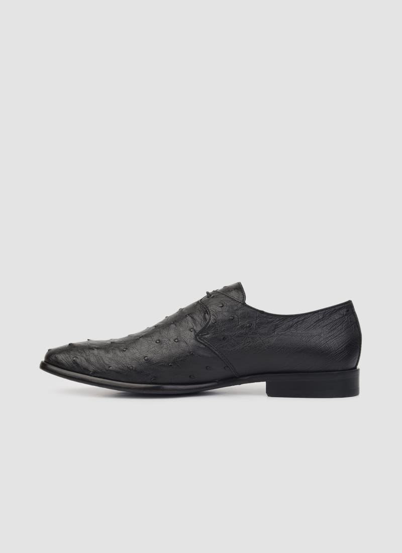 Language Shoes-Men-Apollo Derby-Ostrich Leather-Black Colour-Formal Shoe