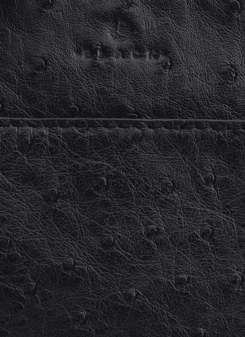 Penny Sling Bag