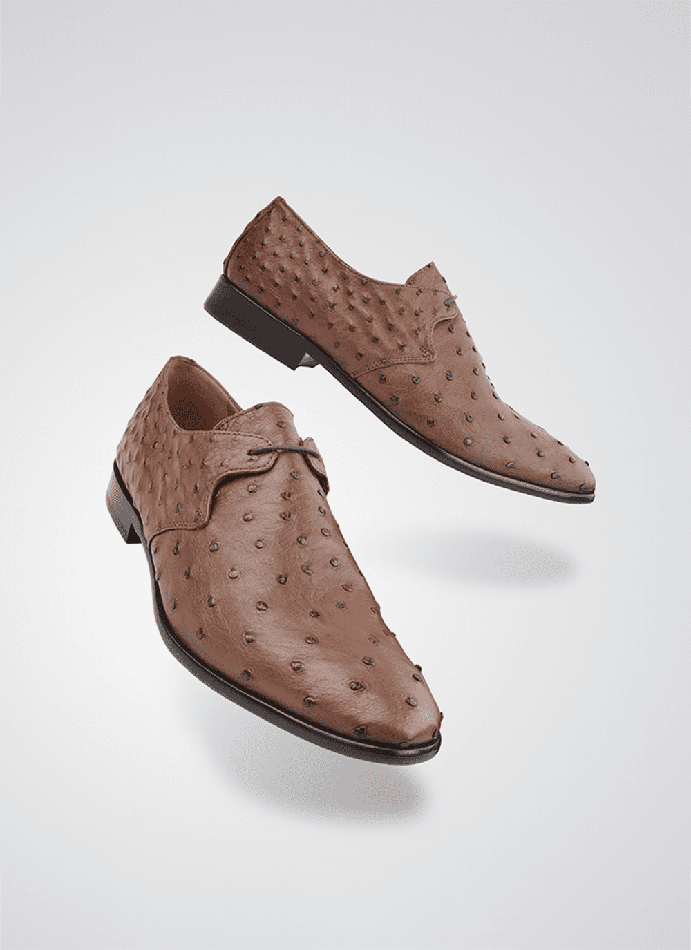Language Shoes-Men-Apollo-Derby-Premium Leather-Brown Colour-Formal Shoe