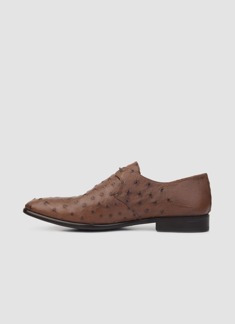 Language Shoes-Men-Apollo Derby-Ostrich Leather-Tan Colour-Formal Shoe