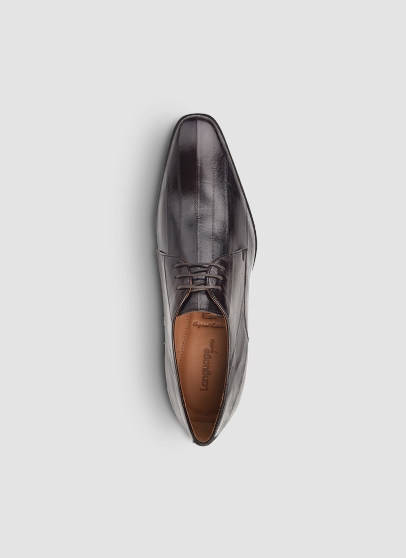 Language Shoes-Men-Caerus Derby-Eel Leather-Dark Brown Colour-Formal Shoe